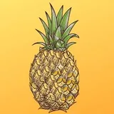 Foto do perfil @dieta_e_receitas_emagrecer